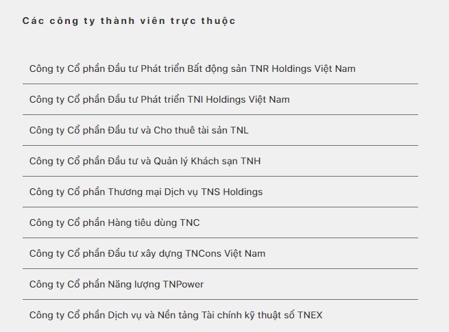 he-sinh-thai-tng-holdings-viet-nam-ganh-khoi-no-khong-lo-34-nghin-ti-dong-1685758521.jpg