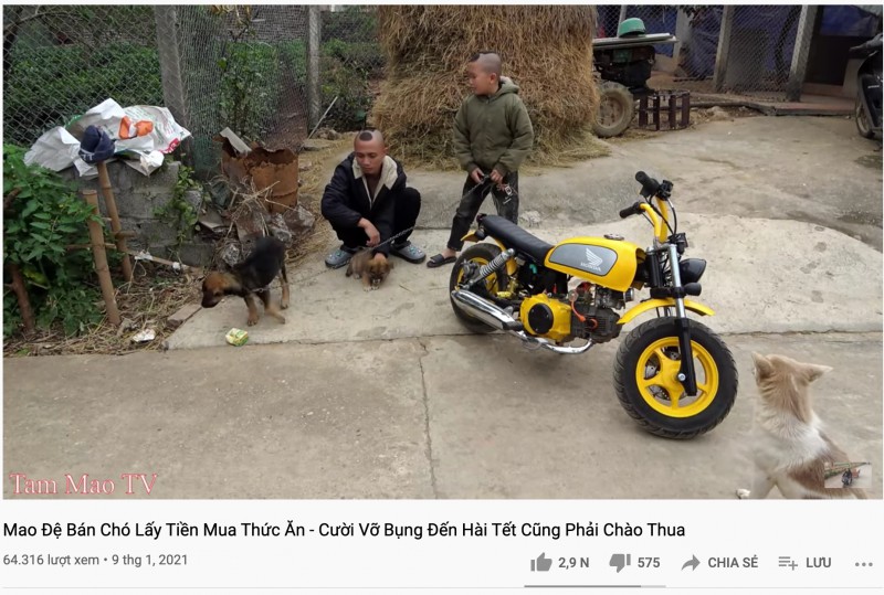 Phẫn nộ với clip anh em Tam Mao treo cún lủng lẳng trên xe tự chế, còn hăm doạ chặt đuôi để bán cho được tiền - Ảnh 1.