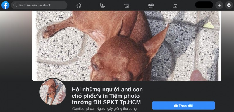 Đến lượt một chú chó ở tiệm photo bị lập page anti vì tội hay dí khách, 4 ngày đã có 3,5K followers - Ảnh 1.