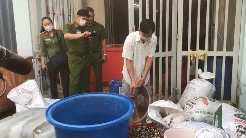 TP Hồ Chí Minh: Phát hiện 1,3 tấn ốc ngâm hóa chất trước khi bán cho tiệm ăn, siêu thị