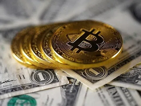 Giá Bitcoin hôm nay 31/1 giảm nhẹ trong khi nhiều đồng tiền khác đồng loạt tăng điểm, thị trường phân hóa sâu sắc.