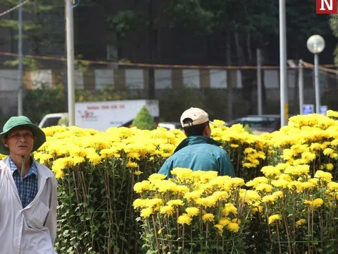 TP.HCM kêu gọi “giải cứu” hoa Tết