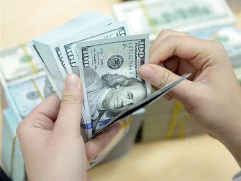 Tỷ giá USD hôm nay 14/8: Đồng USD suy yếu