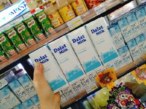 Dalatmilk - Công ty con của THTrueMilk bị phạt hơn 300 triệu đồng vì xả thải không phép ra môi trường