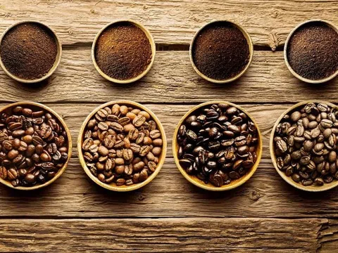 Giá cà phê hôm nay 28/8: Robusta lên đỉnh 1 tháng, mặt bằng giá mới đang được thiết lập?