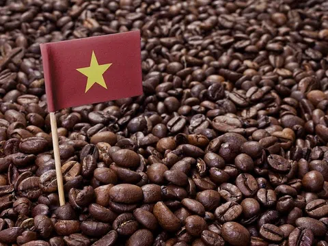 Giá cà phê hôm nay 29/8: Robusta vượt ngưỡng 2.000 USD; Thị trường cà phê pha sẵn của Hàn Quốc tăng trưởng gần 6%