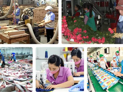 GDP 9 tháng năm 2021 chỉ tăng 1,42% so với cùng kỳ năm ngoái