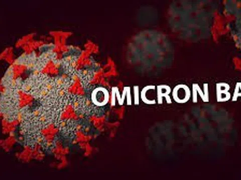 Sự xuất hiện của chủng phụ của biến thể Omicron BA.2 và tương lai đại dịch Covid-19