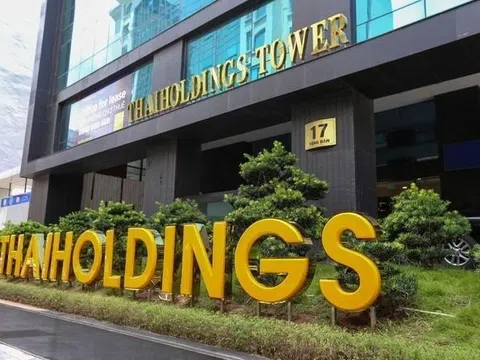 Dòng tiền Thaiholdings của bầu Thụy âm gần 1.000 tỷ đồng