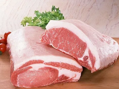 Giá heo hơi hôm nay 16/4: Giá heo hơi miền Bắc cao nhất 52.000 đồng/kg, mức tiêu thụ chậm