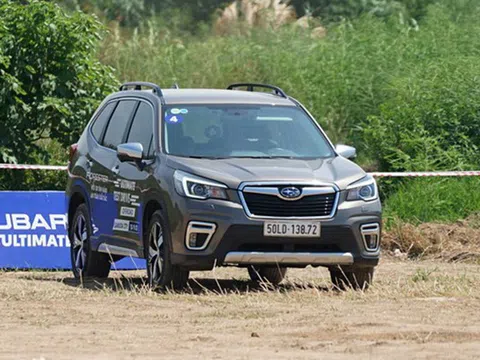 Nhà phân phối phản hồi về lỗi “cá vàng” trên xe Subaru