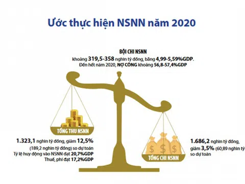 Hai thái cực của bức tranh ngân sách năm 2020