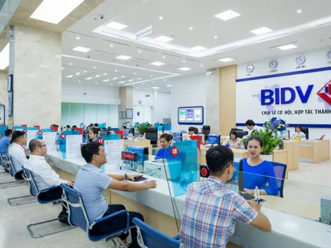 BIDV chuẩn bị chia cổ tức bằng tiền mặt tỷ lệ 8%