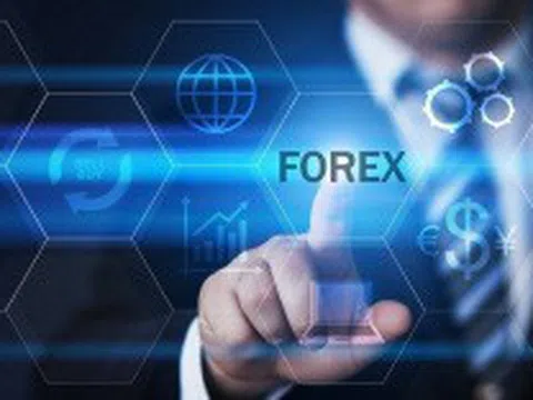 Quản lý đầu tư Forex và Tiền ảo: Hàng trăm nhà đầu tư “sập bẫy” sàn GardenBO