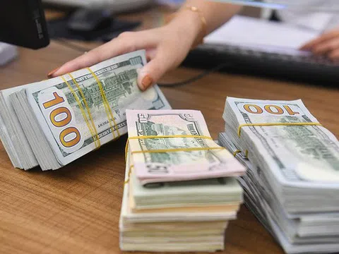 Không hỗ trợ lãi suất cho vay bằng đồng USD