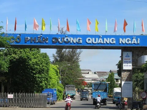 Thanh tra thuế Công ty Đường Quảng Ngãi