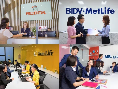 Bộ Tài chính sẽ xử phạt 4 hãng bảo hiểm Prudential, MB Ageas, Sun Life và BIDV Metlife!