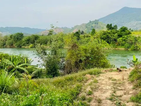 Nở rộ làn sóng kêu gọi chung vốn đầu tư farmstay trên mạng, cẩn trọng “tiền mất tật mang”