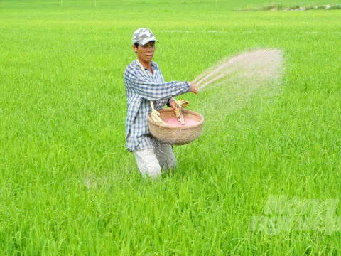 'Chênh lệch cung cầu không phải là nguyên nhân đẩy giá phân bón tăng cao'