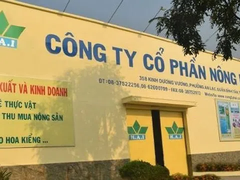 Loạt doanh nghiệp bị xử phạt nặng vì vi phạm công bố thông tin