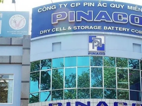 Pinaco bị phạt và truy thu thuế gần 3,4 tỷ đồng