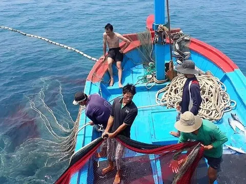 Gấp rút gỡ ‘thẻ vàng’ IUU trong năm 2022, tạo động lực cho xuất khẩu thủy sản