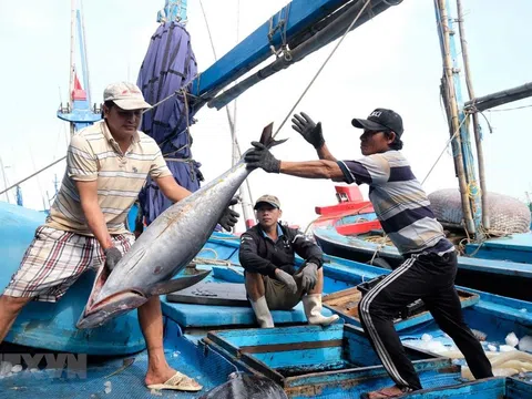 Việt Nam khẳng định cam kết mạnh mẽ về khắc phục 'thẻ vàng' IUU