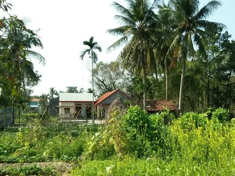 Quảng Nam : Sẽ sáp nhập 2 huyện Phú Ninh, Núi Thành vào thành phố Tam Kỳ