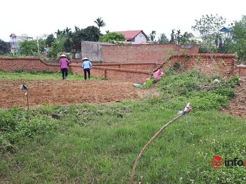 Giá đất tăng cao, nhà đầu tư 'tháo chạy' khỏi thành phố, vác tiền về quê đầu tư đất