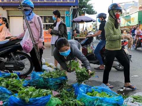 Rau tại chợ TP.HCM tăng giá mạnh, rau ở vườn ế ẩm