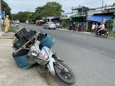 'Người bán rau' vận chuyển hơn 16 kg nghi cần sa